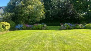 Summer garden- click for photo gallery